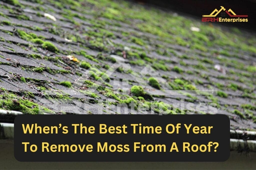 Best time of year to remove moss from roof