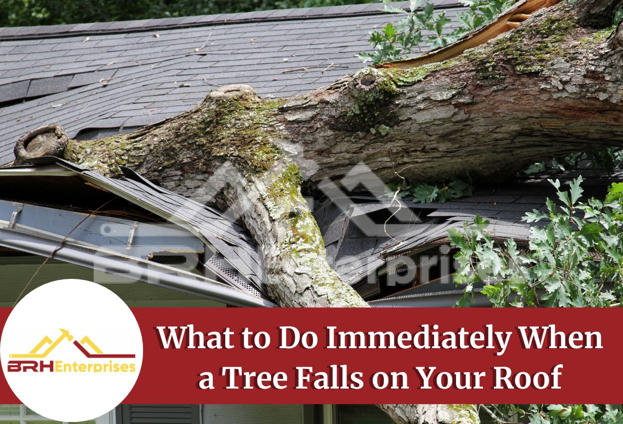 Tree Falls on Roof