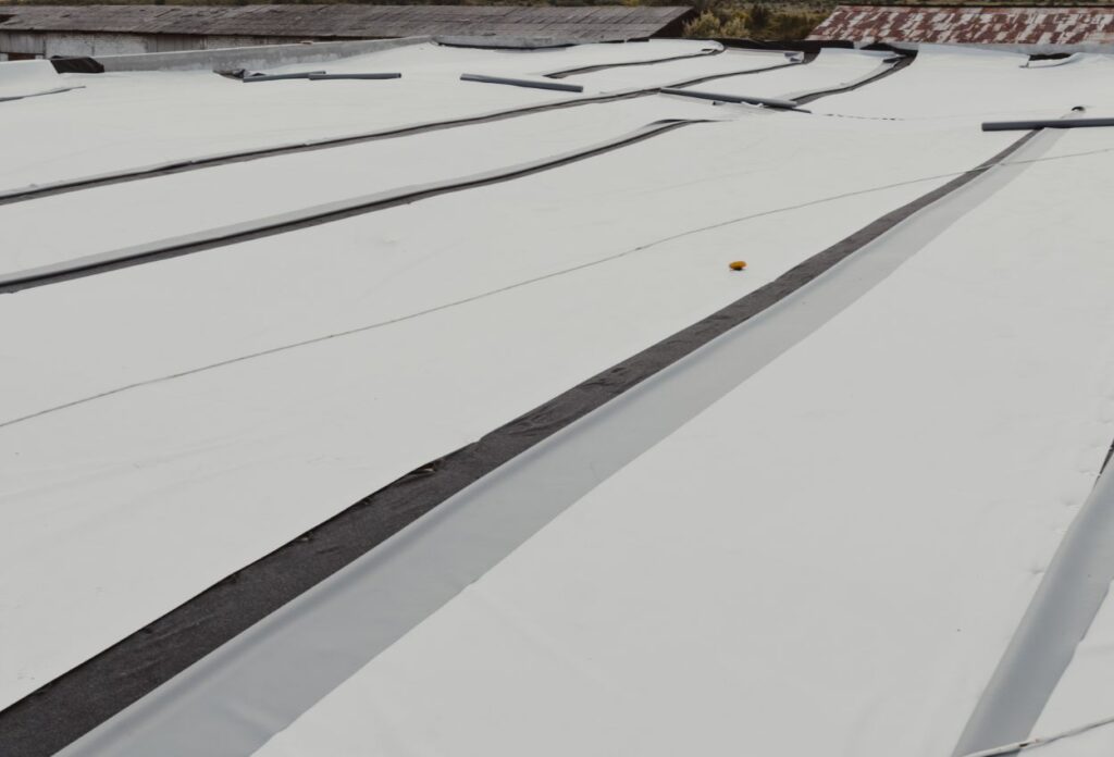 Tpo roof